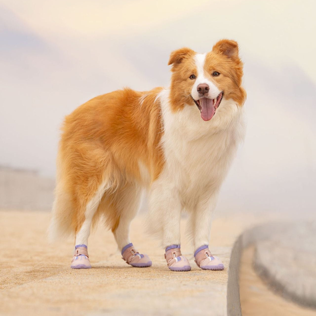 Atmungsaktive Hundeschuhe